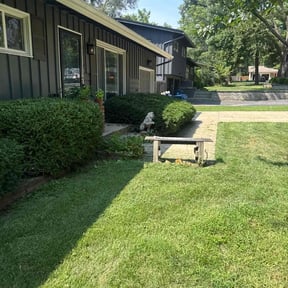 Bush Trimming by Black horse reviewed on August 8, 2025