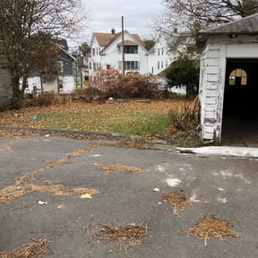 Cleanups by Shoregreen Lawn Maintenance LLC reviewed on May 13, 2022