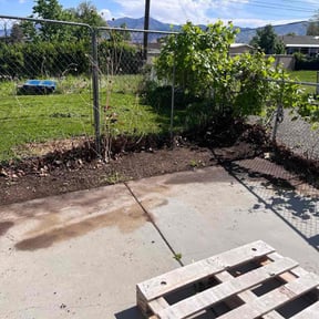 Leaf Removal by LSLTDallas/FortWorthTruGreen reviewed on May 27, 2025