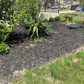 Flower Bed Weeding by Willougby and Sons Lawn and Outdoor Solutions reviewed on July 18, 2022