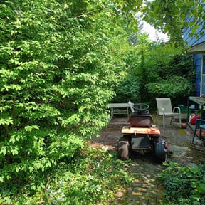 Bush Trimming by E-MACULATE LAWN CARE LLC reviewed on September 11, 2021