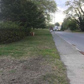 Leaf Removal by 3D GARDEN design & lawn care reviewed on July 17, 2022