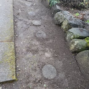 Flower Bed Weeding by Empire Lawn Care & Tree Trimming reviewed on November 24, 2021