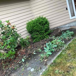 Flower Bed Weeding by Simple Solution Home Services reviewed on September 4, 2023