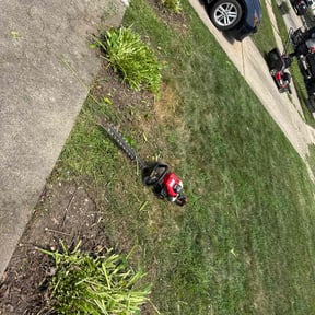 Cleanups by Friend's Lawns reviewed on November 27, 2022