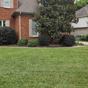 Bush Trimming by Persevere Complete Lawn Care reviewed on November 10, 2020