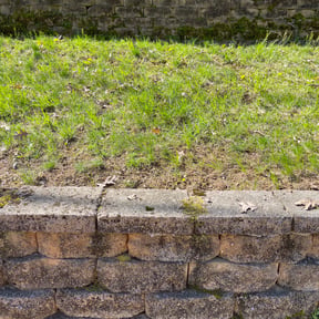 Leaf Removal by :) B.and.B :) reviewed on August 22, 2024