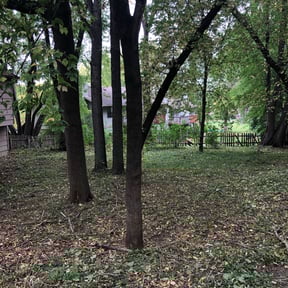 Cleanups by Gregg&#039;s Lawn Care reviewed on November 9, 2024