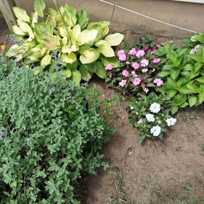 Flower Bed Weeding by Loza Lawn Care reviewed on October 22, 2021