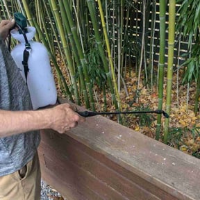 Weeding by JayLandscaping reviewed on April 23, 2025