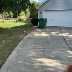 Bush Trimming by Alpha Landscape Company reviewed on December 12, 2024