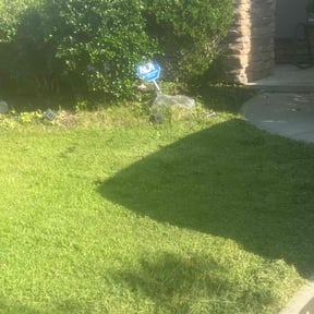 Bush Trimming by Hyde reviewed on July 25, 2022