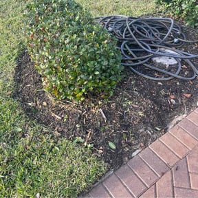 Flower Bed Weeding by Mowtivated Landscaping reviewed on August 11, 2025