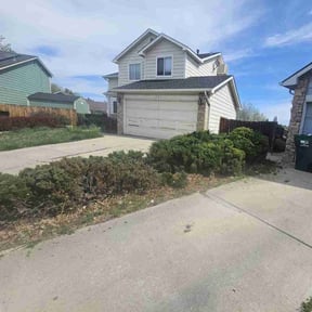 Bush Trimming by LSF reviewed on May 18, 2022