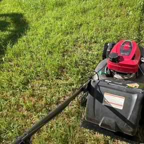 Flower Bed Weeding by Shawn Hussey Lawns reviewed on October 3, 2024