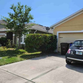 Bush Trimming by P&amp;D Landscaping. reviewed on July 1, 2025