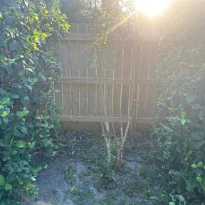Bush Trimming by Hector's Lawn Care reviewed on May 14, 2025