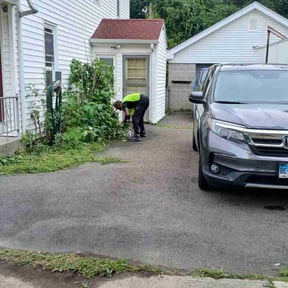 Bush Trimming by S&E lawn services reviewed on March 16, 2022