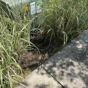 Cleanups by Ford year-round Lawn Service reviewed on May 26, 2022