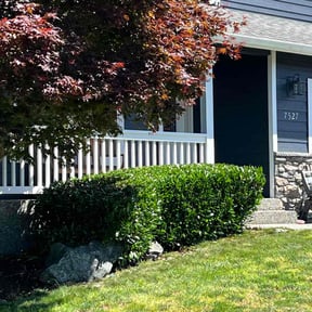 Bush Trimming by Ortega lawn services LL reviewed on April 6, 2022