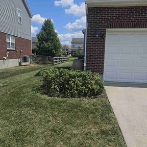 Bush Trimming by Papa Sonz Yard Maintenance reviewed on June 3, 2022