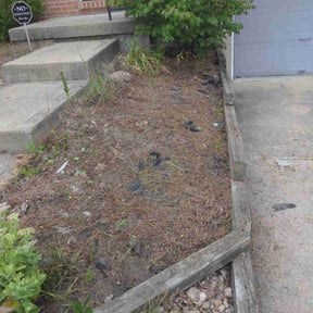 Flower Bed Weeding by A -Pro Home Services reviewed on July 20, 2022