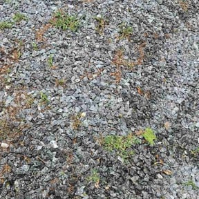 Weeding by J.B.G Landscaping reviewed on July 29, 2022