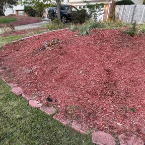 Flower Bed Weeding by Jmm reviewed on June 19, 2025