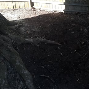 Cleanups by Mow-Mentous Lawn Service reviewed on July 9, 2025