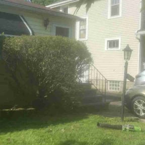 Bush Trimming by Tony's lawn services/Plowing reviewed on July 14, 2022