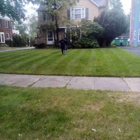 Bush Trimming by Mitchell&#039;s Home Solutions reviewed on May 25, 2025