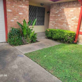 Bush Trimming by Visions Landscaping reviewed on May 28, 2022