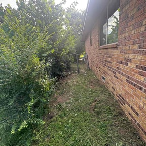 Bush Trimming by O'Shields Parks Mowing and Cleaning reviewed on May 28, 2025
