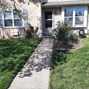 Leaf Removal by Blessed Lawn Care Services & Odd Jobs reviewed on July 18, 2022