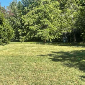 Bush Trimming by Exquisite Lawn & Grounds reviewed on July 29, 2025