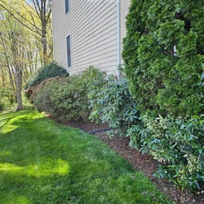 Flower Bed Weeding by Nicks 20/20 lawn care reviewed on July 11, 2022