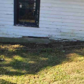 Flower Bed Weeding by Escobar's Landscaping reviewed on June 6, 2022