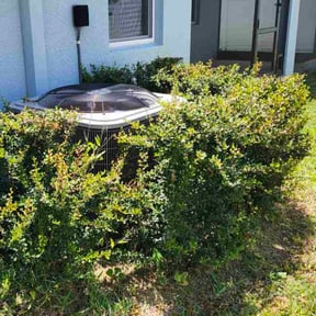 Bush Trimming by Momentum Lawn Care & Services reviewed on January 31, 2025