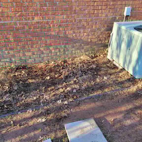 Leaf Removal by Webb's Lawn Care reviewed on August 23, 2024