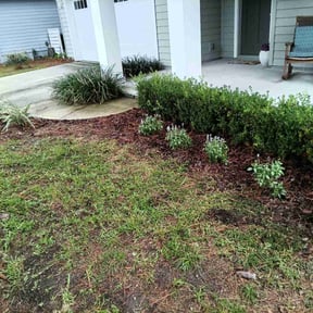 Flower Bed Weeding by NH Landscaping reviewed on July 28, 2025