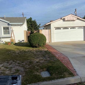 Bush Trimming by OT Lawn Service reviewed on February 24, 2025