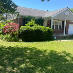 Bush Trimming by CUT Tulsa Lawn Co. reviewed on December 8, 2024