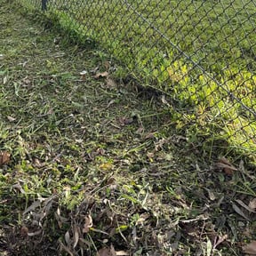 Leaf Removal by Alamos Lawn care reviewed on June 3, 2022