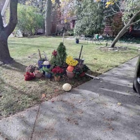 Leaf Removal by Jireh Tree's & Landscaping reviewed on August 4, 2022