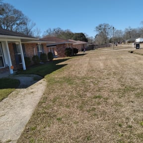 Leaf Removal by Earthmovers Landscaping reviewed on March 19, 2025