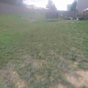Cleanups by JT Ultimate Lawn Solutions reviewed on June 13, 2022