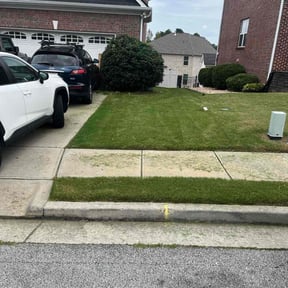 Bush Trimming by Syncere Lawns llc reviewed on December 2, 2024