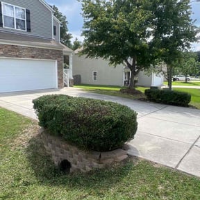 Bush Trimming by Big O Mows Landscaping reviewed on August 1, 2022