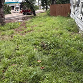 Cleanups by Alie Love lawn service reviewed on September 24, 2021