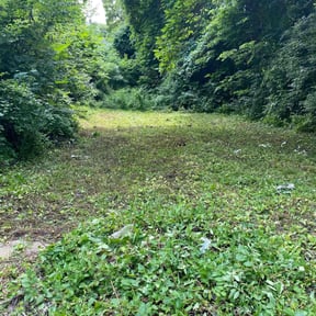 Leaf Removal by Independent Contractor reviewed on July 14, 2022